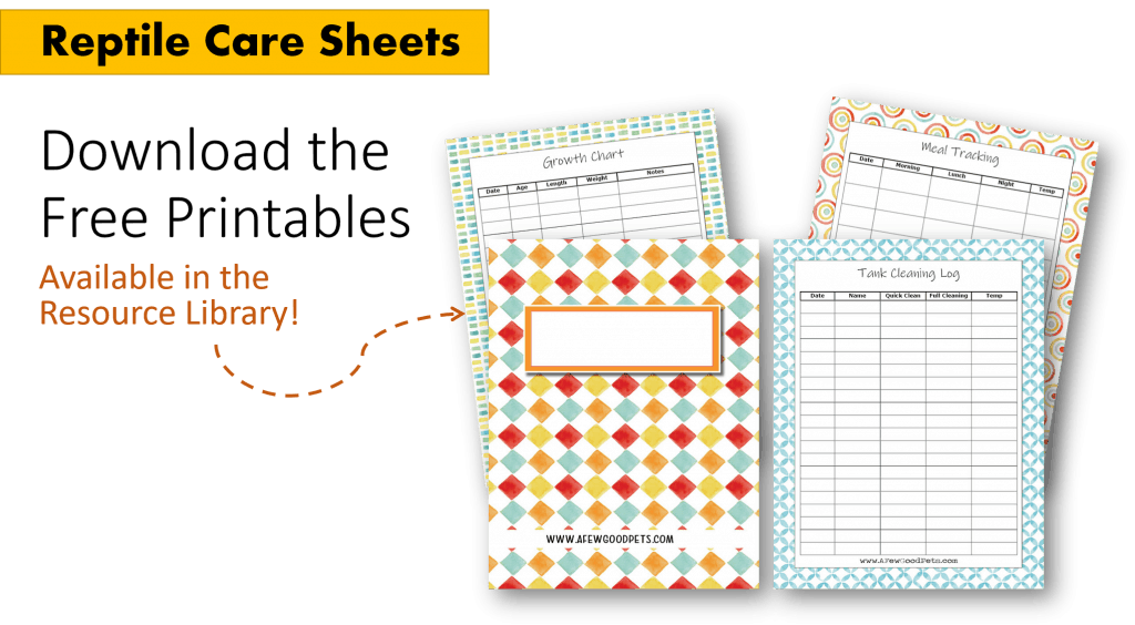 free printable reptile care sheets