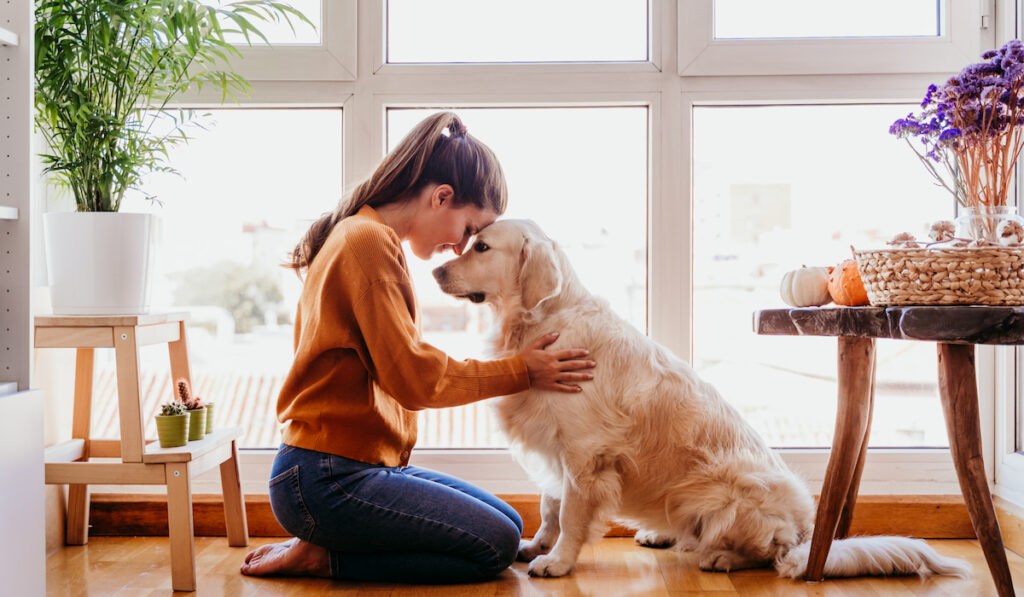 beautiful woman hugging her dog in apartment