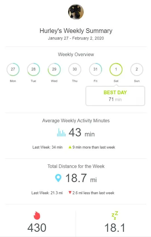 whistle-tracker-stats