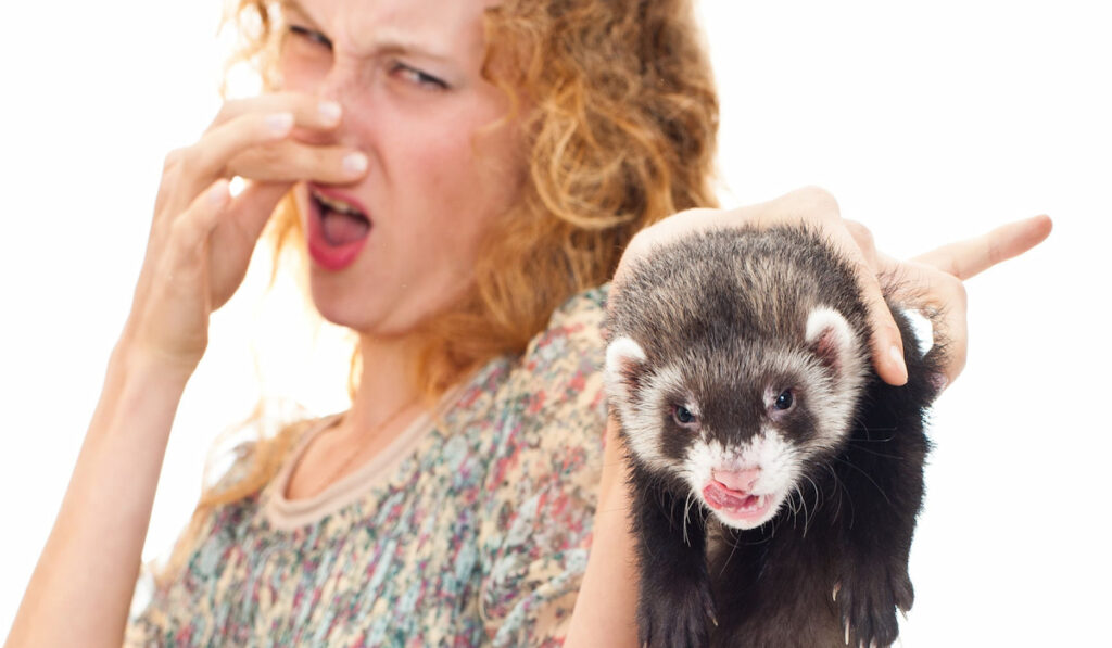 woman covering her nose holding a smelly ferret