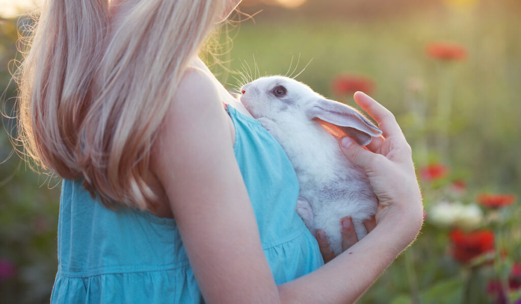 girl and rabbit on an open field