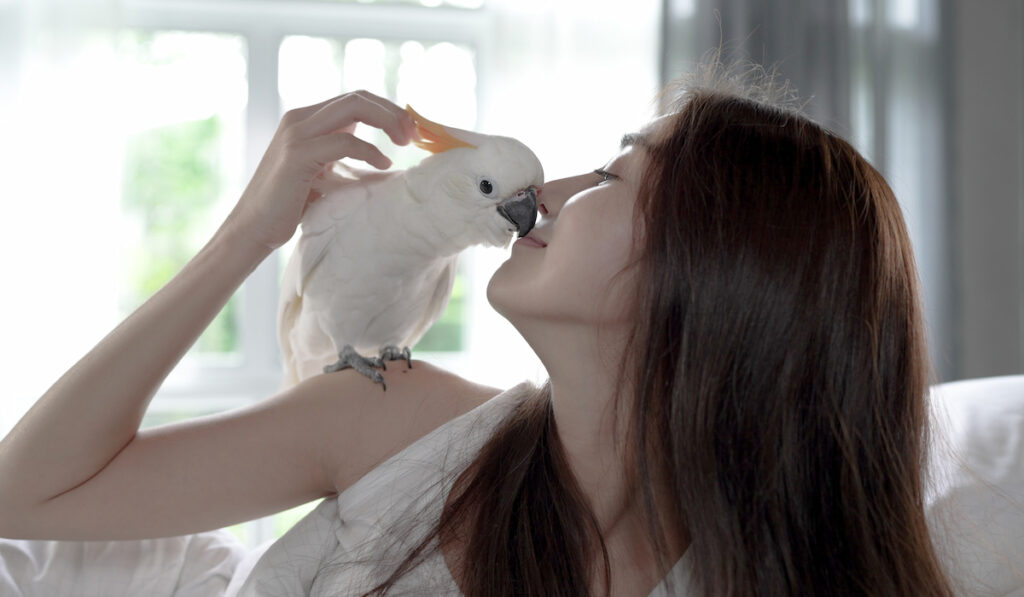 young woman kissing white parrot