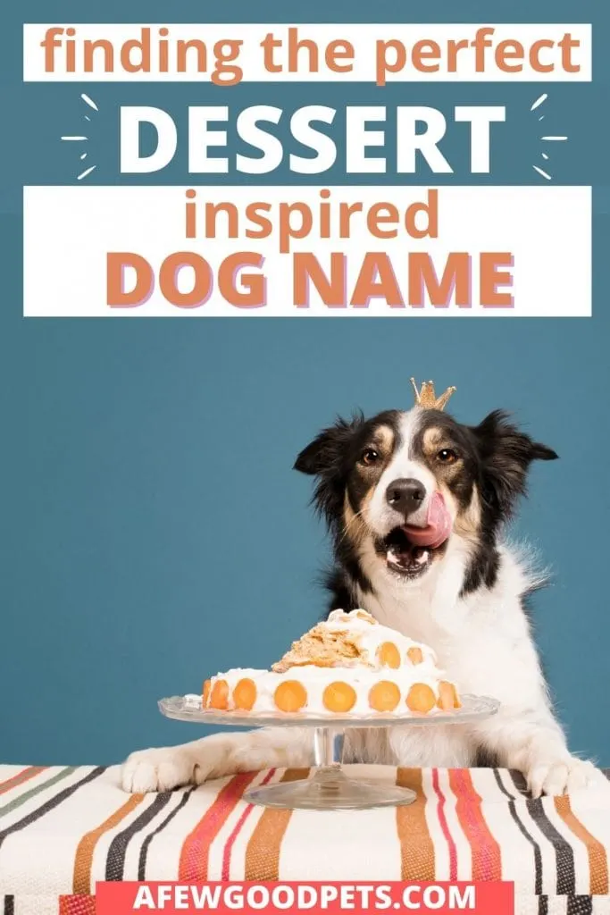 finding the perfect dessert dog name