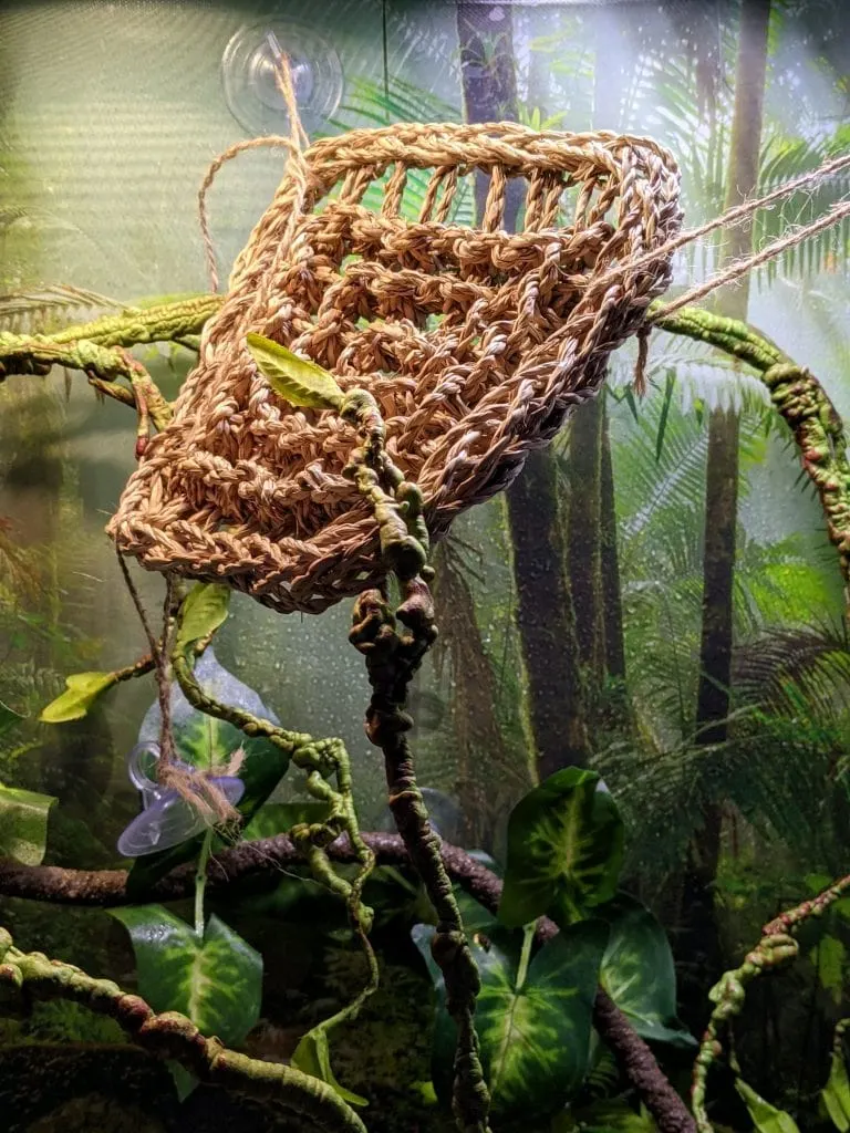 cage set up for a chameleon with artificial branches