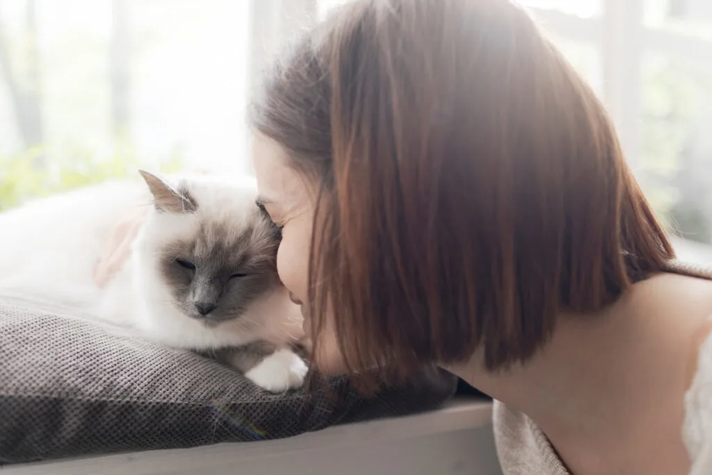 woman with short hair petting her cat on a sofa near a window 