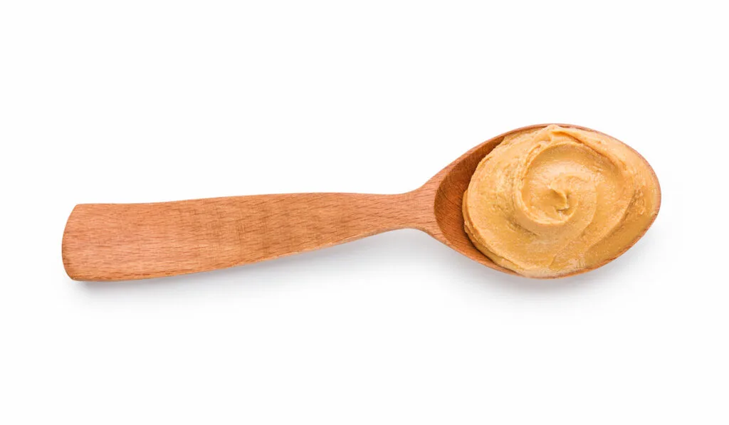 wooden spoon with peanut butter