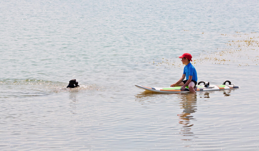 young boy on a board with his schnauzer in the water