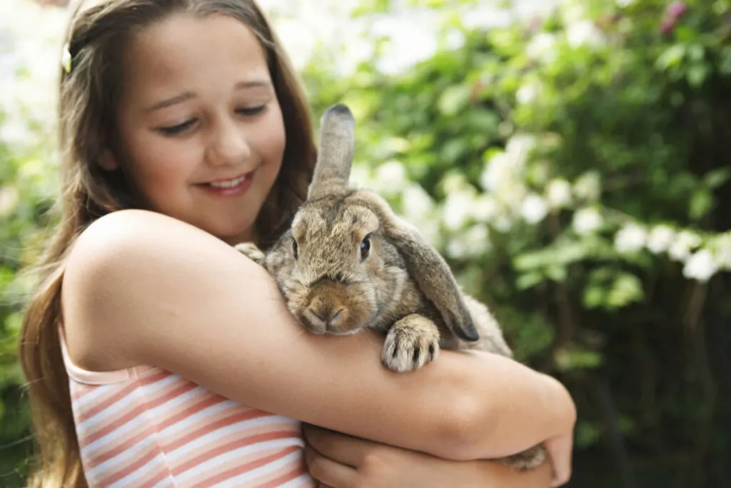 a young girl carrying her pet rabbit on her arms