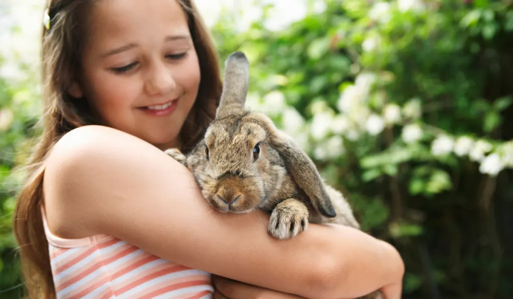 A cute rabbit held by a girl.