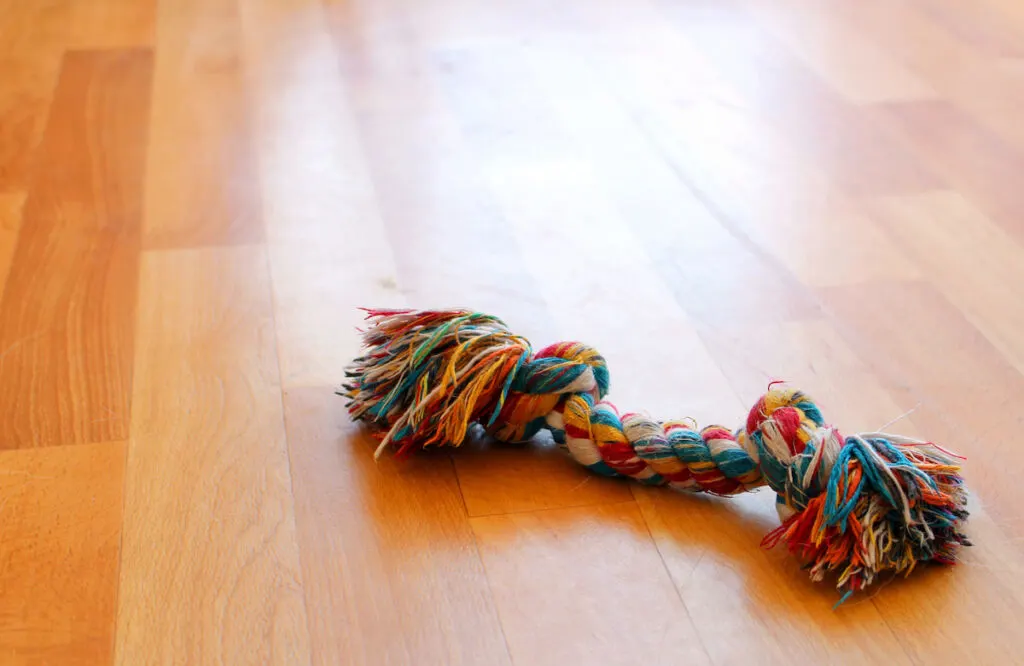 colorful chew toy on the floor 