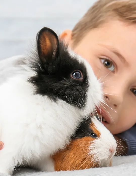 rabbit-and-boy