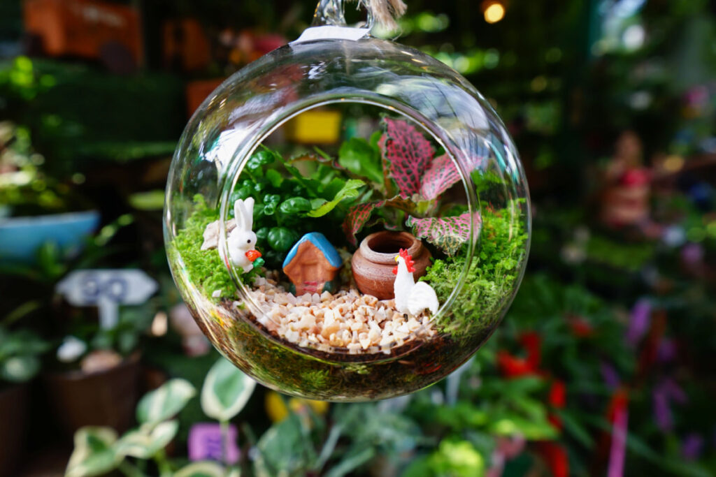 A mini garden plant terrarium in a round glass 