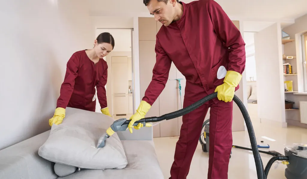 Two skilled uniformed workers steam-cleaning couch cushion