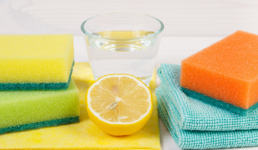 environmentally friendly accessories for cleaning home lemon water cloth