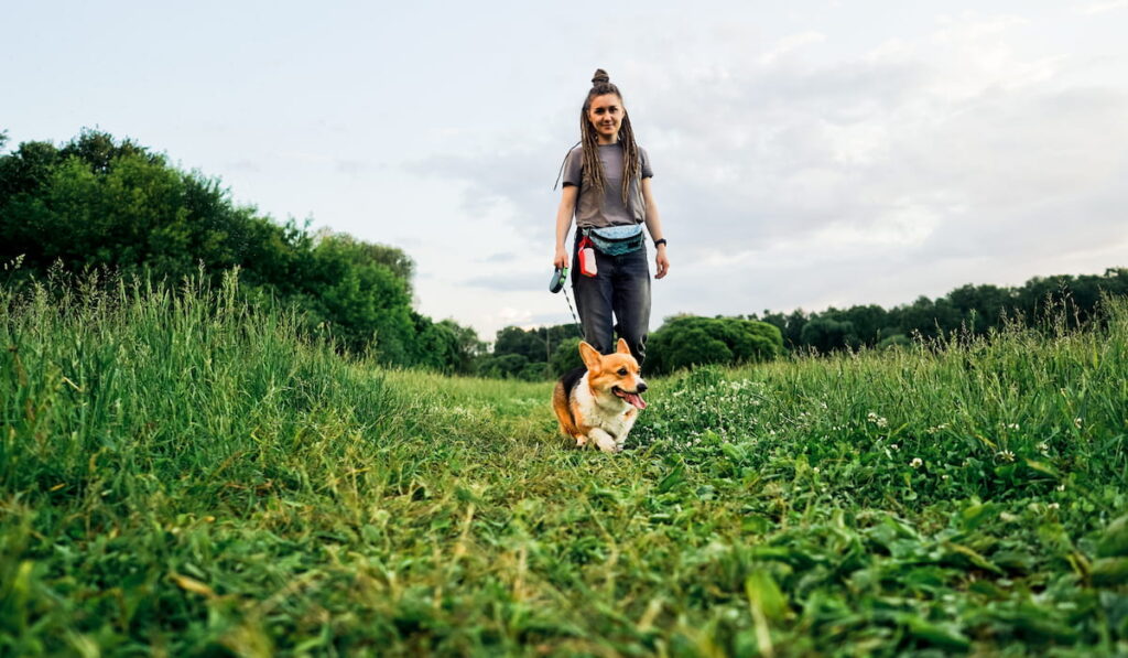 Woman with dreadlocks walk with dog corgi