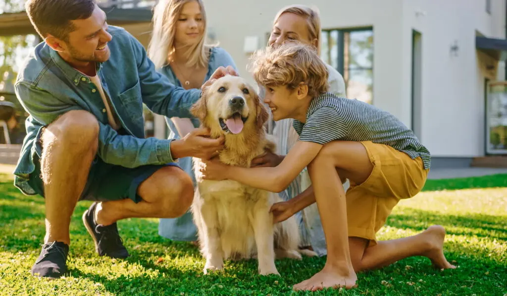 Family with a Golden Retriever Dog on the Backyard Lawn