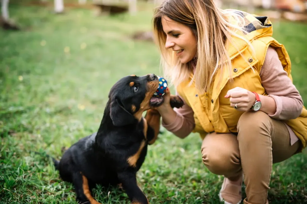 Young woman training and playing with puppy on grass