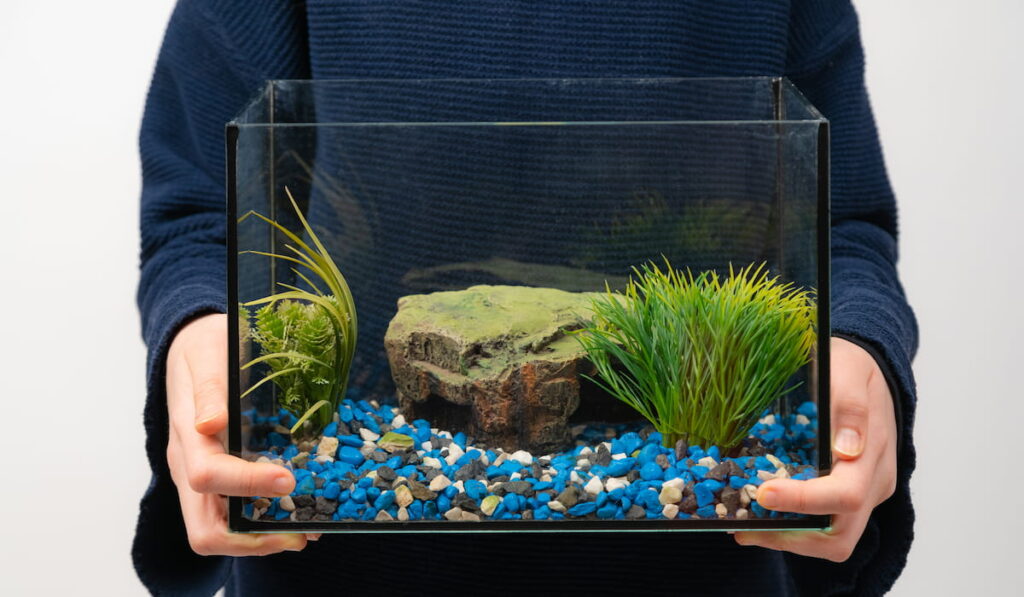 Person holding fish tank aquarium with no water and fish on white background. 