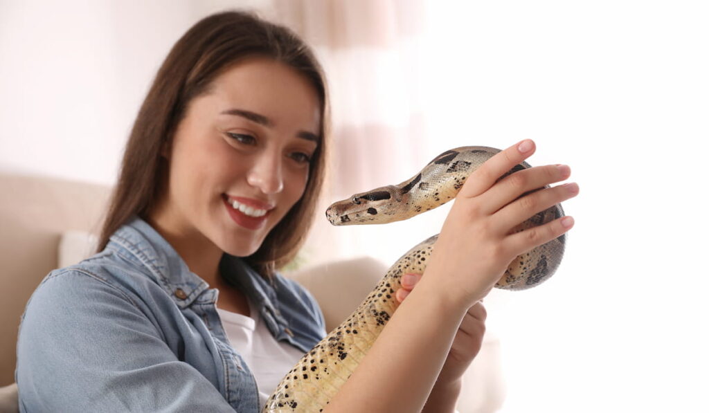 Young woman with her pet snake boa constrictor 