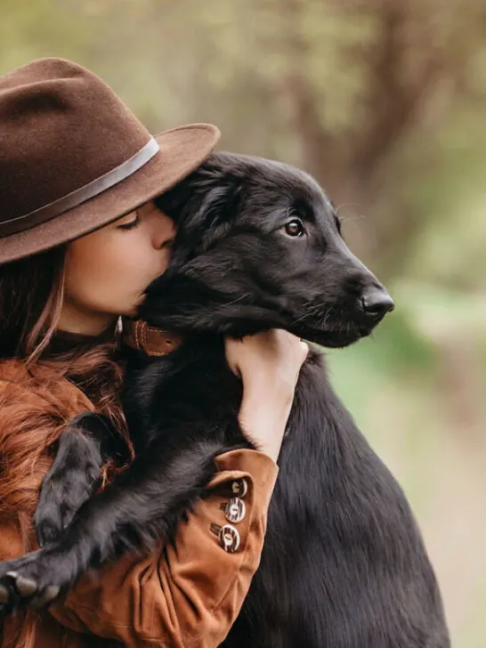 Pretty young girl hugging her puppy retriever dog in the nature - ss230420