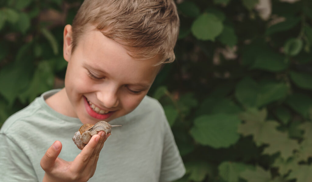 A happy child holds a big garden snail in hand outdoors during summer

