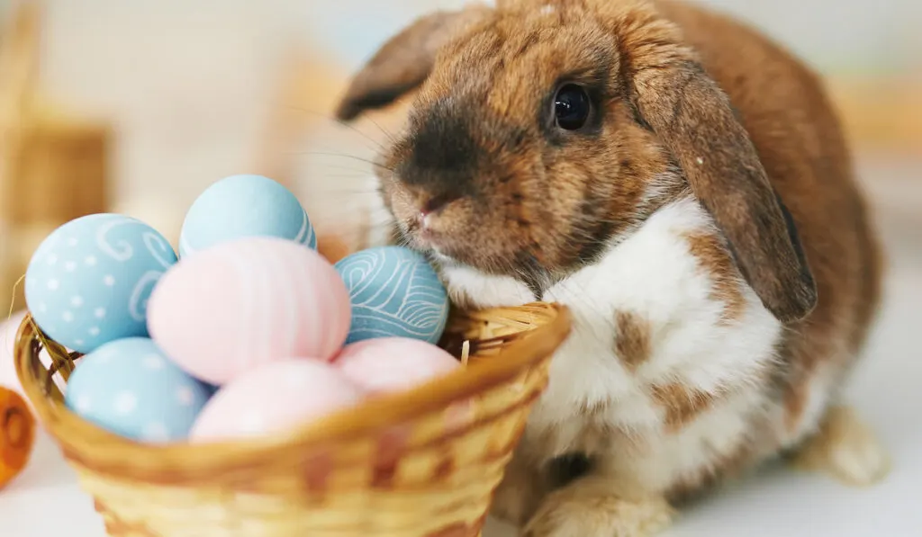 Cute rabbit and colorful eggs in a basket