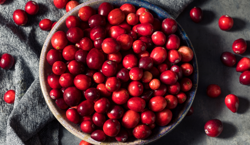 Healthy Red Organic Cranberries
